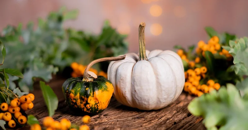 Trois recettes végétariennes de saison, faciles et chronométrées