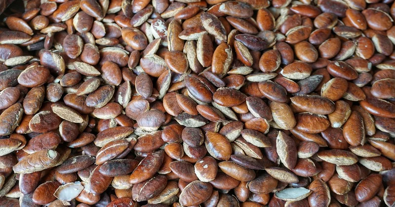 Le batch cooking : la méthode qui divise la facture
